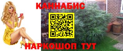 стаф Малоярославец