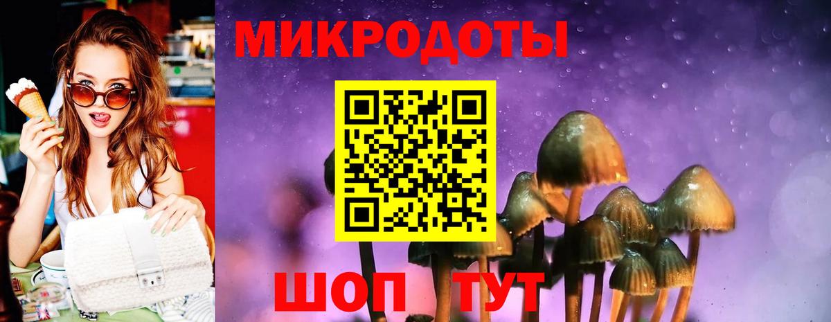 Псилоцибиновые грибы Psilocybine cubensis  Вход с VPN  Вышний Волочёк 