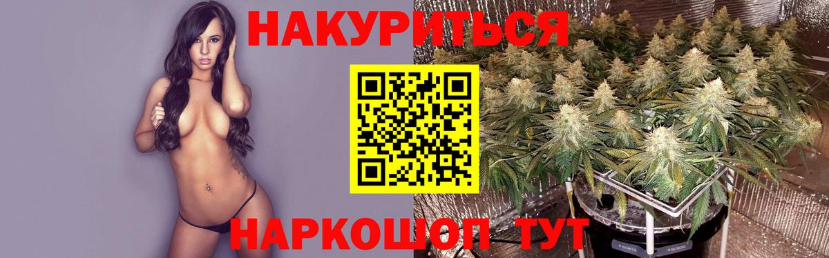 Шишки марихуана семена Вышний Волочёк